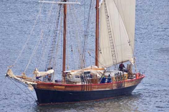06 July 2021 - 14-57-00

----------------------
Barge Johanna Lecretia in Dartmouth